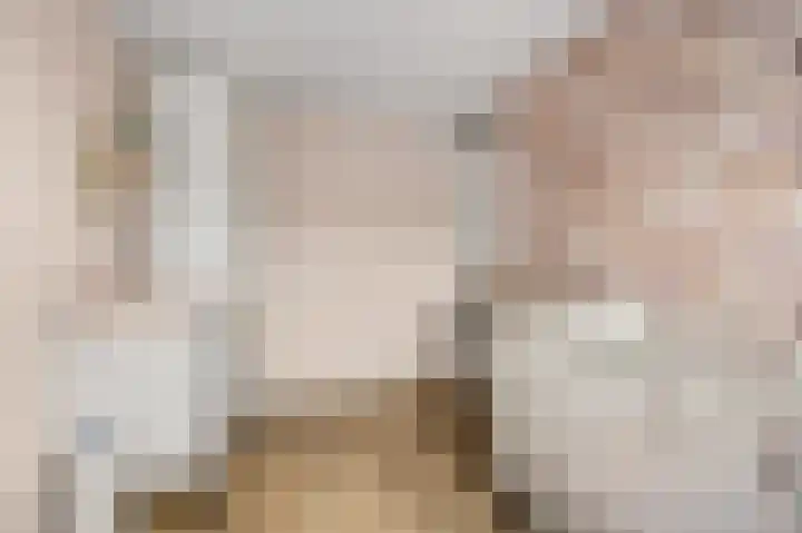 Teldersweg 123 Rhenen thumbnail 16