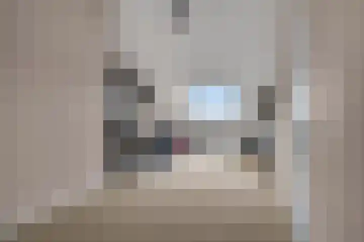 Teldersweg 123 Rhenen thumbnail 20