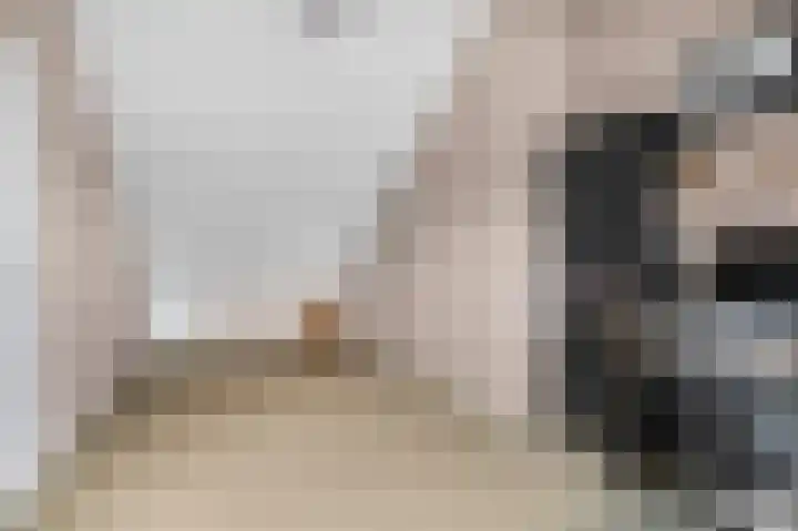 Teldersweg 123 Rhenen thumbnail 21