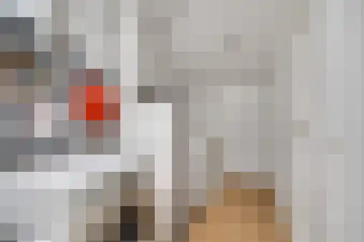 Teldersweg 123 Rhenen thumbnail 22