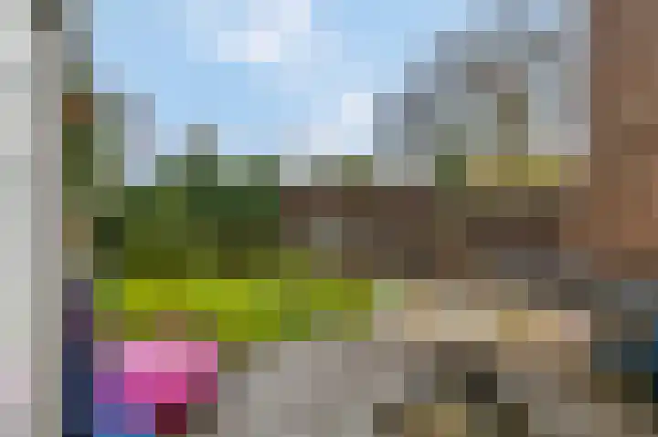 Teldersweg 123 Rhenen thumbnail 23