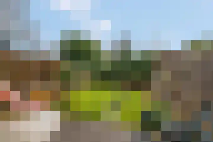 Teldersweg 123 Rhenen thumbnail 24
