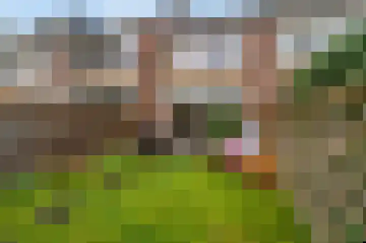 Teldersweg 123 Rhenen thumbnail 25