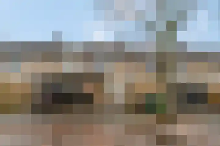 Teldersweg 123 Rhenen thumbnail 27