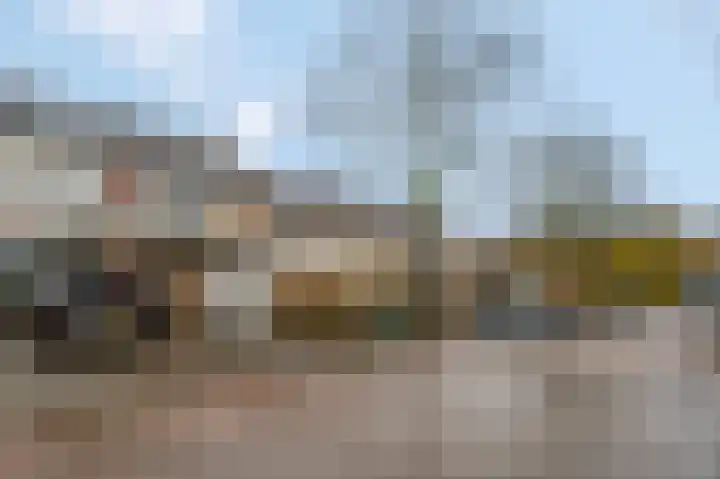 Teldersweg 123 Rhenen thumbnail 28