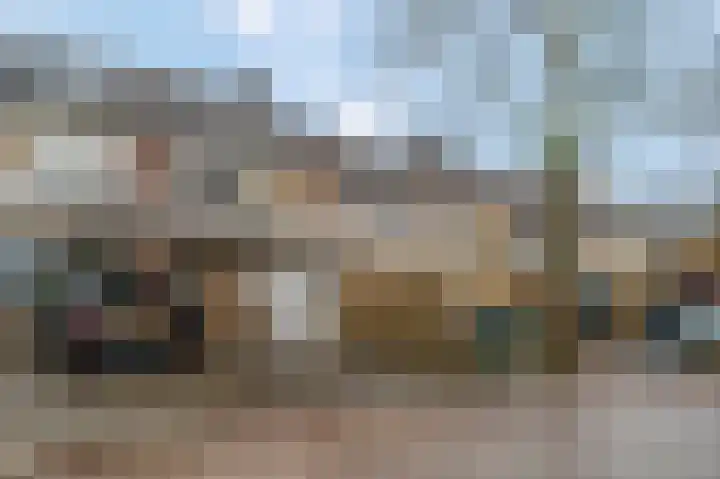 Teldersweg 123 Rhenen thumbnail 29