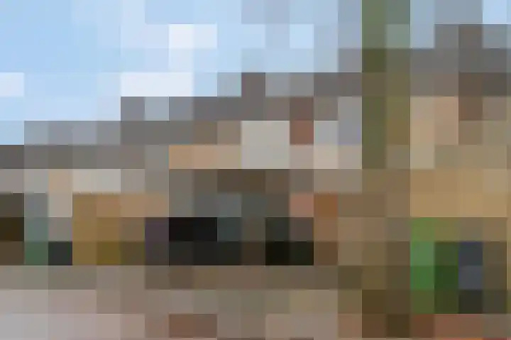 Teldersweg 123 Rhenen thumbnail 30
