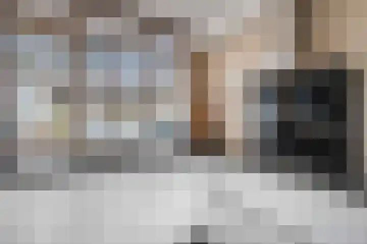Teldersweg 123 Rhenen thumbnail 4