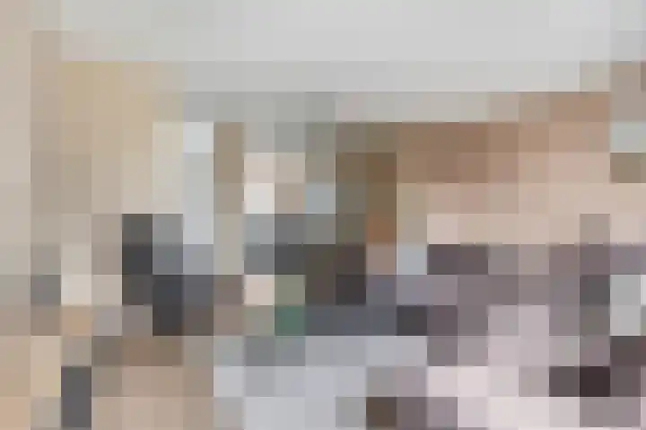 Teldersweg 123 Rhenen thumbnail 6