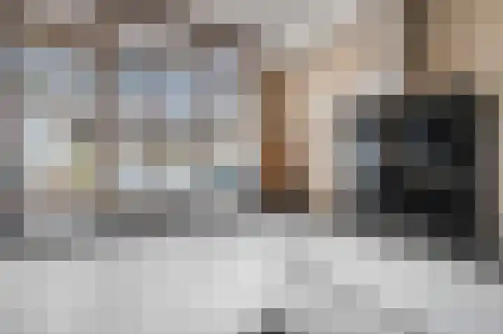 Teldersweg 123 Rhenen thumbnail 8