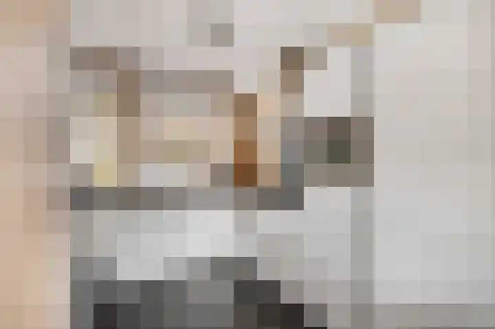Teldersweg 123 Rhenen thumbnail 9
