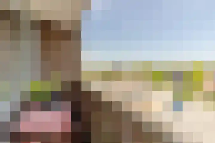 Teldersweg 181 Rotterdam thumbnail 12