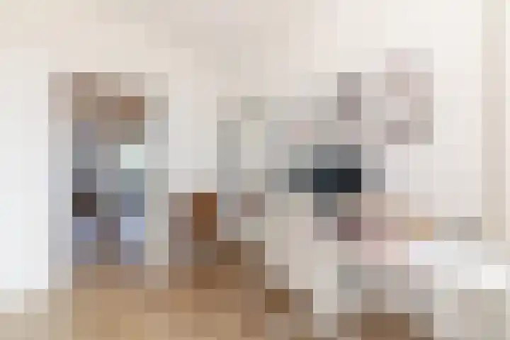 Teldersweg 181 Rotterdam thumbnail 17