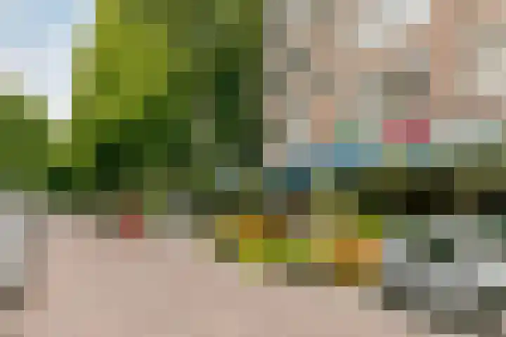 Teldersweg 181 Rotterdam thumbnail 23