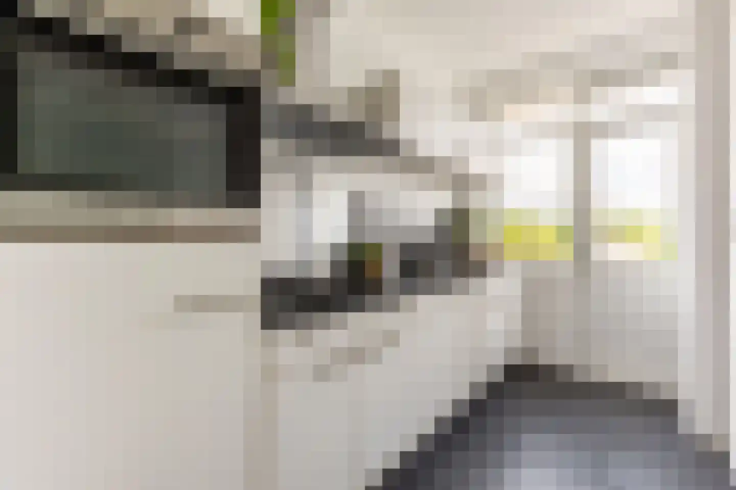 Teldersweg 203 Rotterdam thumbnail 13