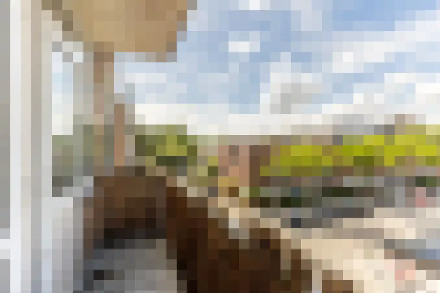 Teldersweg 203 Rotterdam thumbnail 15