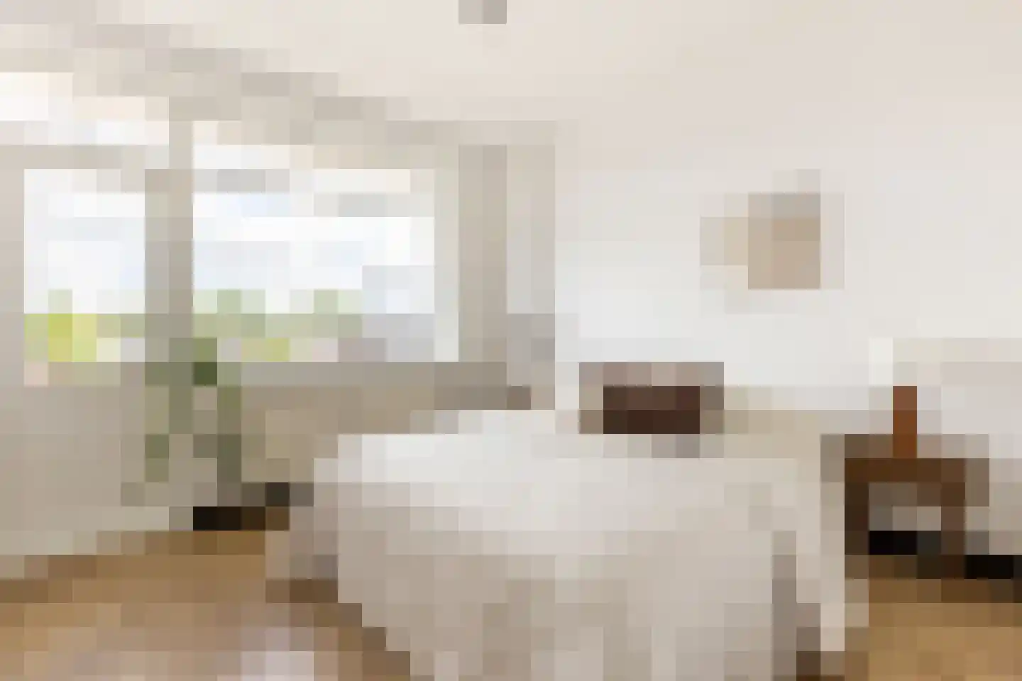Teldersweg 203 Rotterdam thumbnail 20