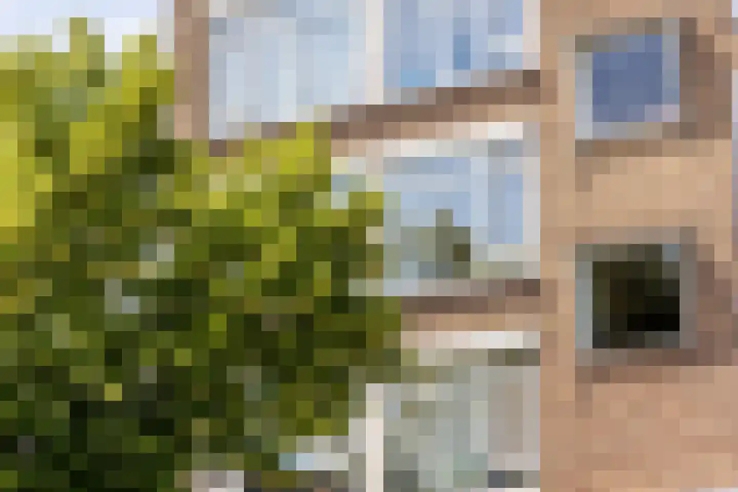 Teldersweg 203 Rotterdam thumbnail 27