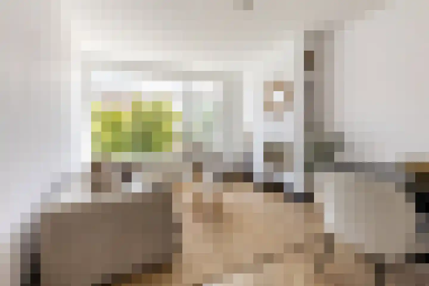 Teldersweg 203 Rotterdam thumbnail 4