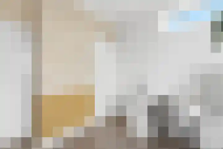 Teldersweg 205 Rotterdam thumbnail 10