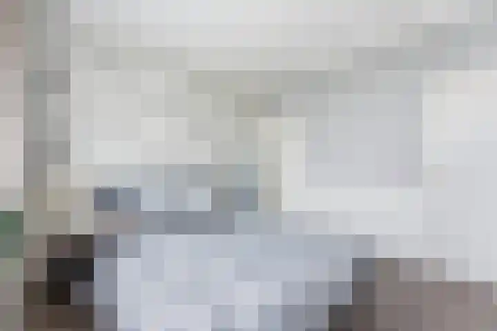 Teldersweg 205 Rotterdam thumbnail 17