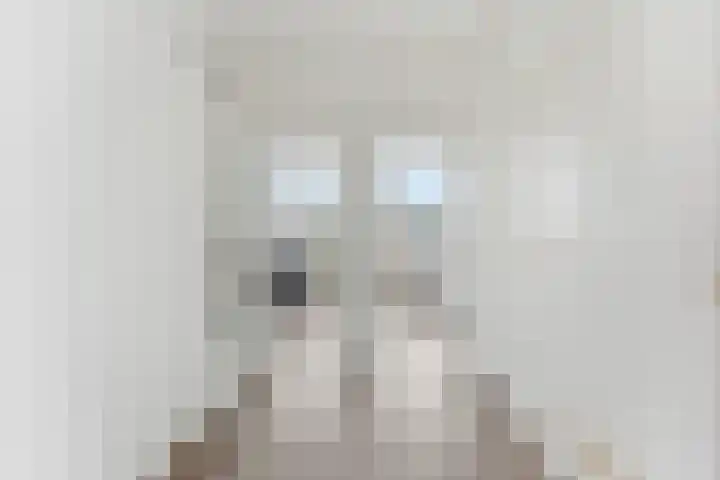 Teldersweg 205 Rotterdam thumbnail 20