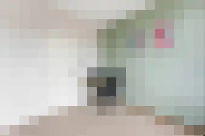 Teldersweg 205 Rotterdam thumbnail 21