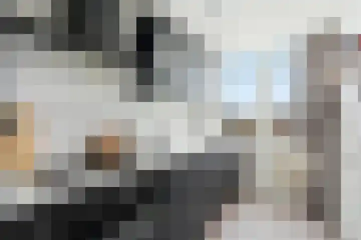 Teldersweg 205 Rotterdam thumbnail 7