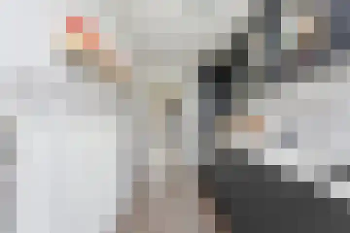Teldersweg 205 Rotterdam thumbnail 8