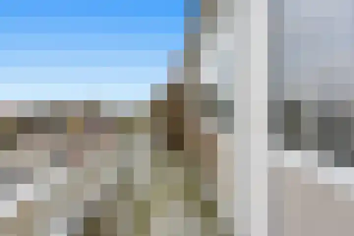 Teldersweg 205 Rotterdam thumbnail 9