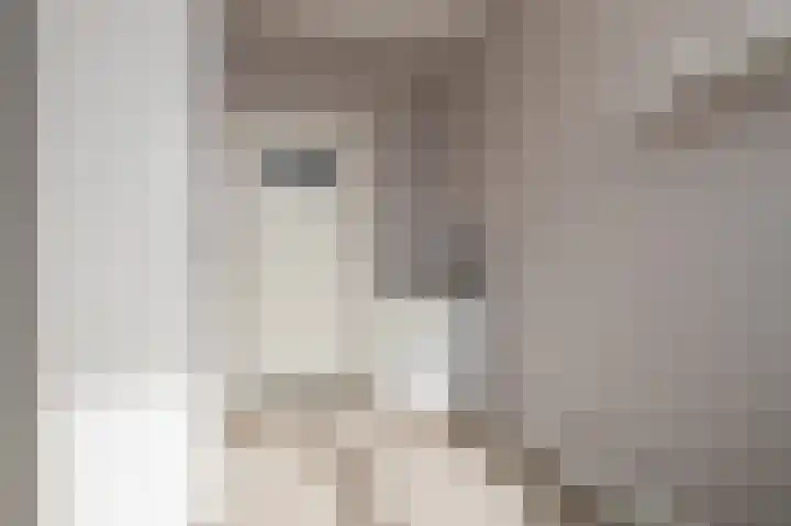 Teldersweg 221 Rotterdam thumbnail 6