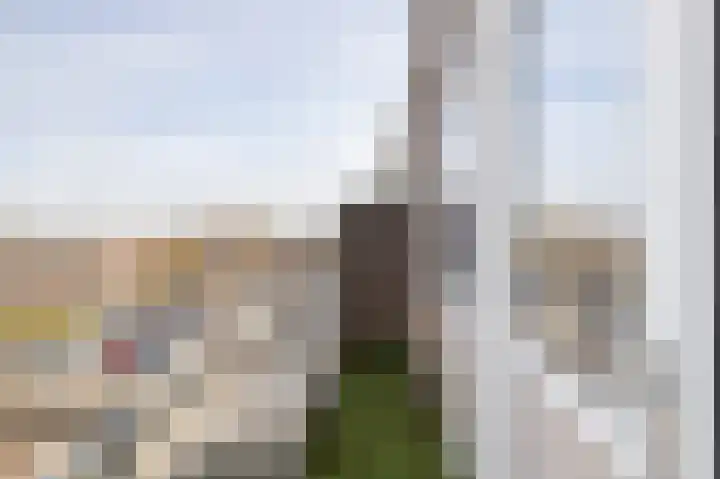 Teldersweg 221 Rotterdam thumbnail 8