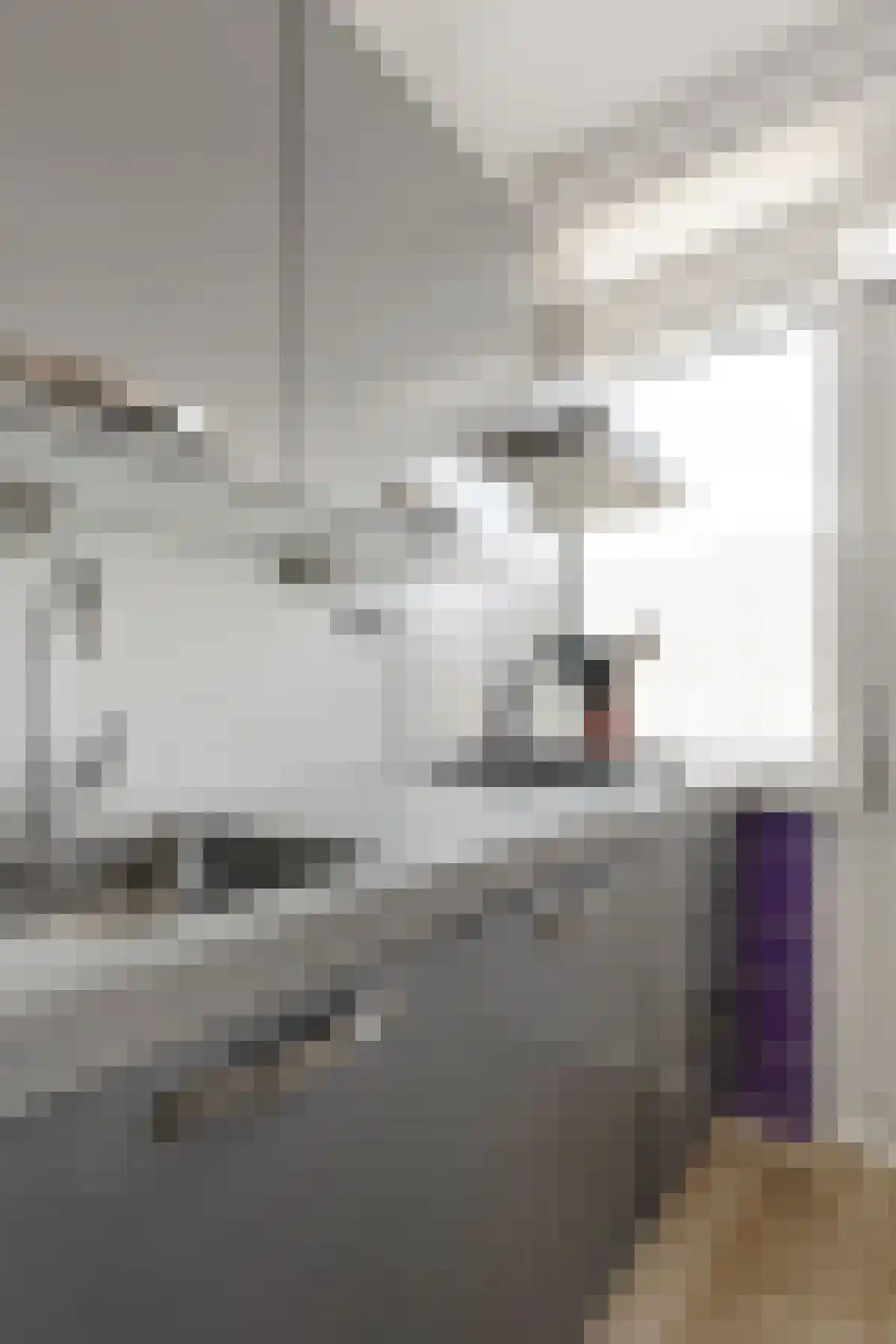 Teldersweg 233 Rotterdam thumbnail 12