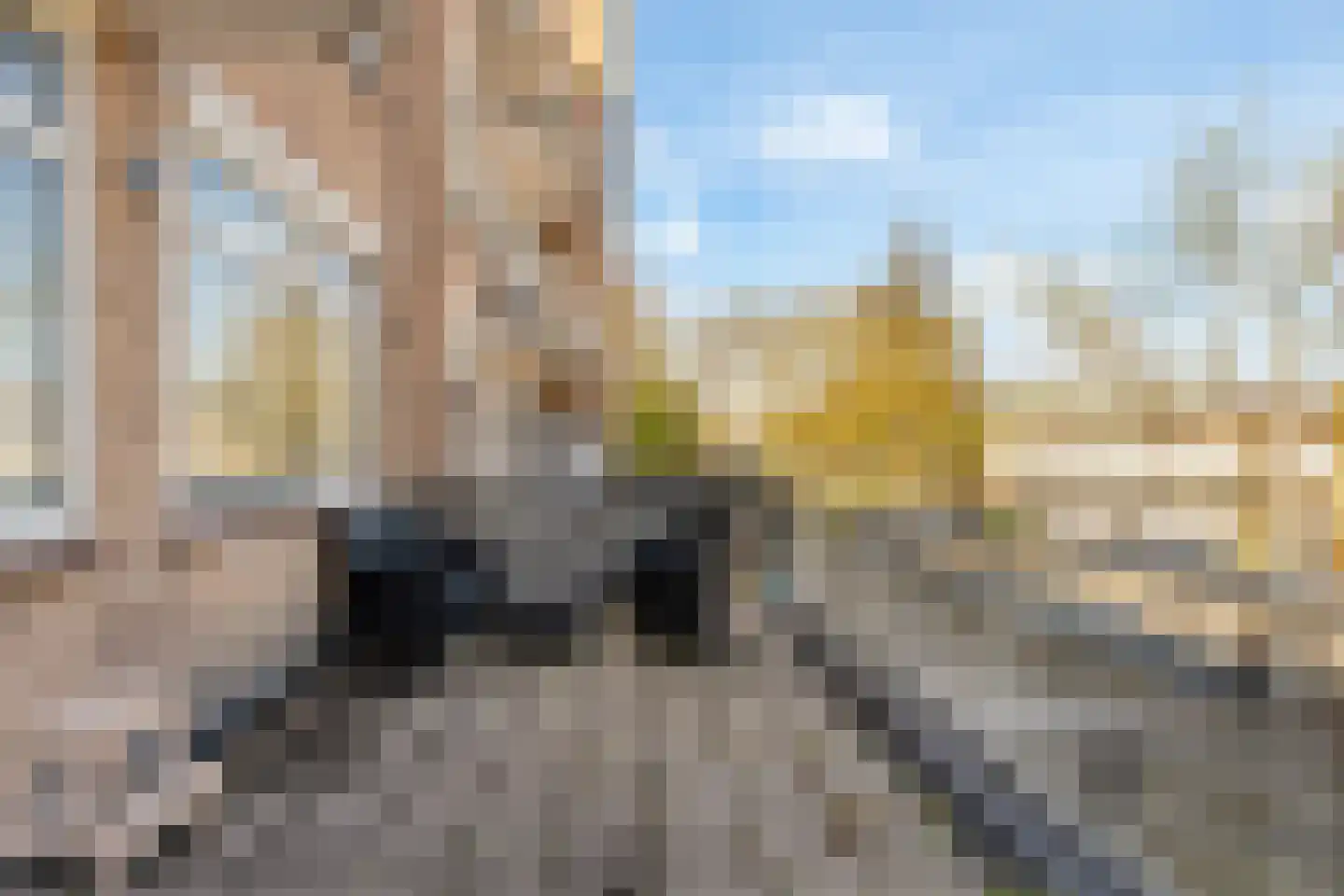 Teldersweg 233 Rotterdam thumbnail 13