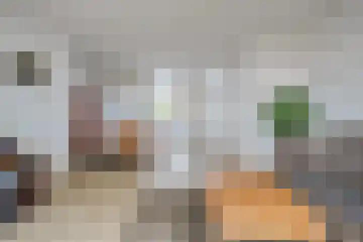 Teldersweg 25 Rhenen thumbnail 12