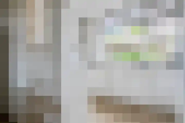 Teldersweg 25 Rhenen thumbnail 13