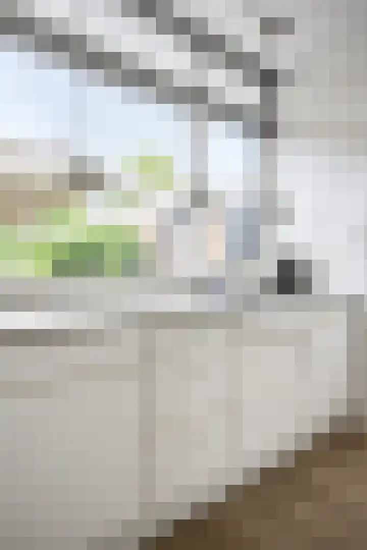 Teldersweg 25 Rhenen thumbnail 16