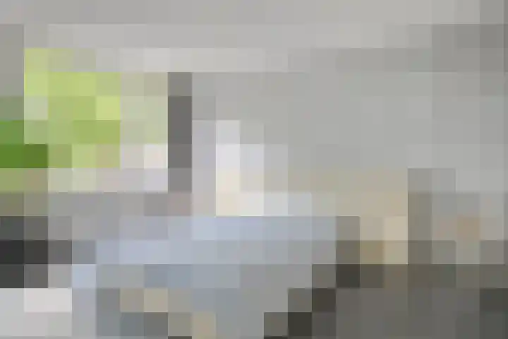Teldersweg 25 Rhenen thumbnail 19