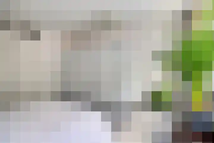 Teldersweg 25 Rhenen thumbnail 20