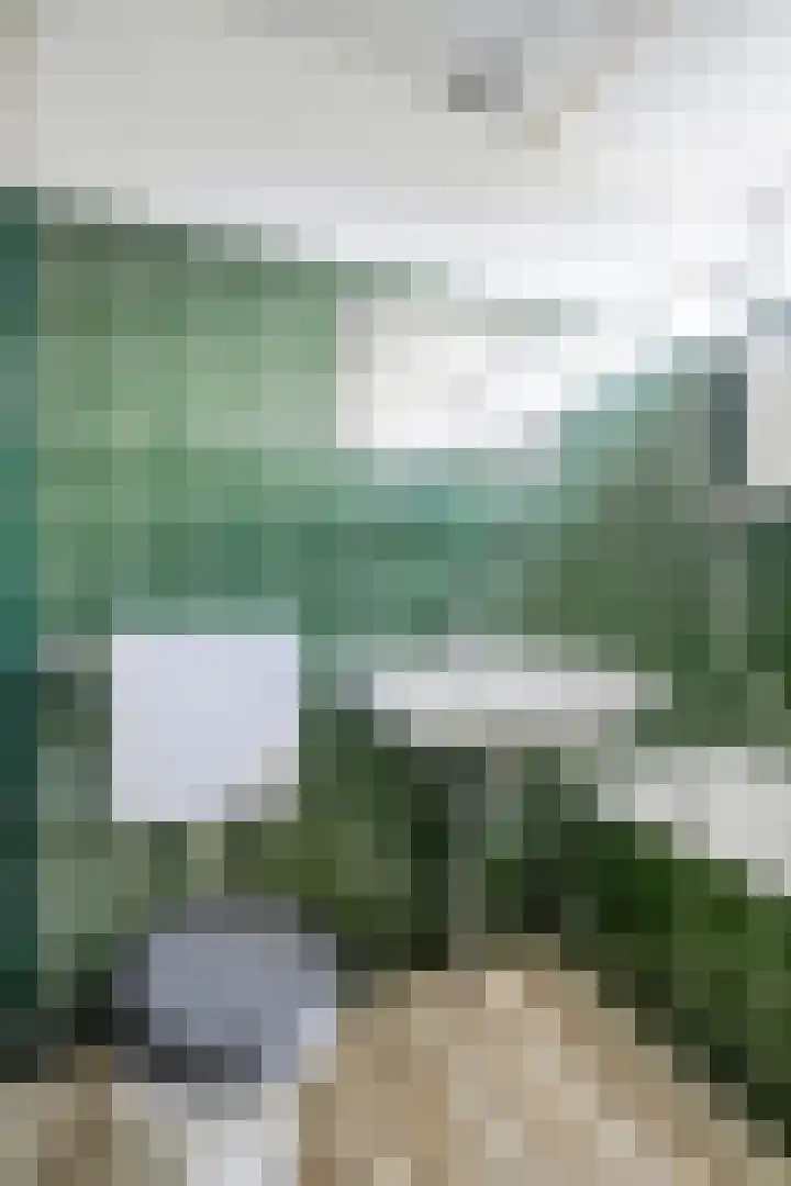 Teldersweg 25 Rhenen thumbnail 22
