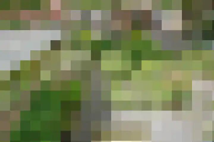 Teldersweg 25 Rhenen thumbnail 25