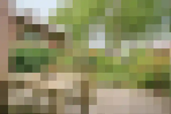 Teldersweg 25 Rhenen thumbnail 30