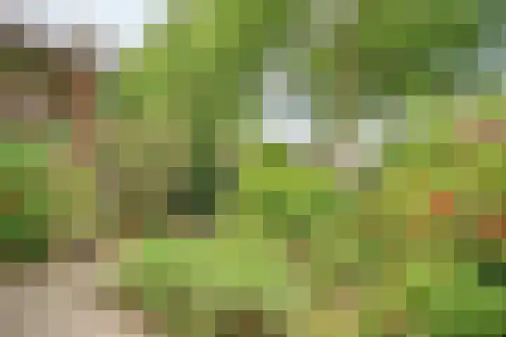 Teldersweg 25 Rhenen thumbnail 31