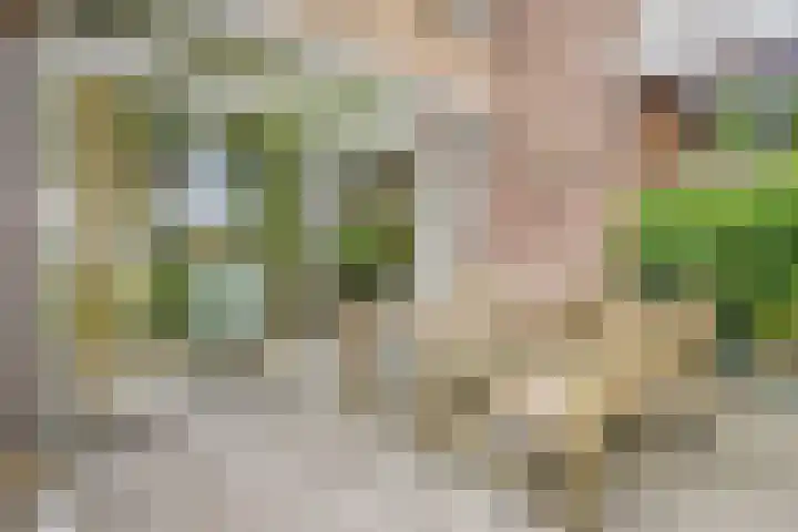 Teldersweg 25 Rhenen thumbnail 32
