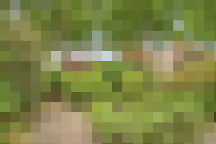 Teldersweg 25 Rhenen thumbnail 33