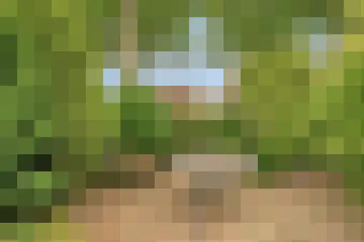 Teldersweg 25 Rhenen thumbnail 34