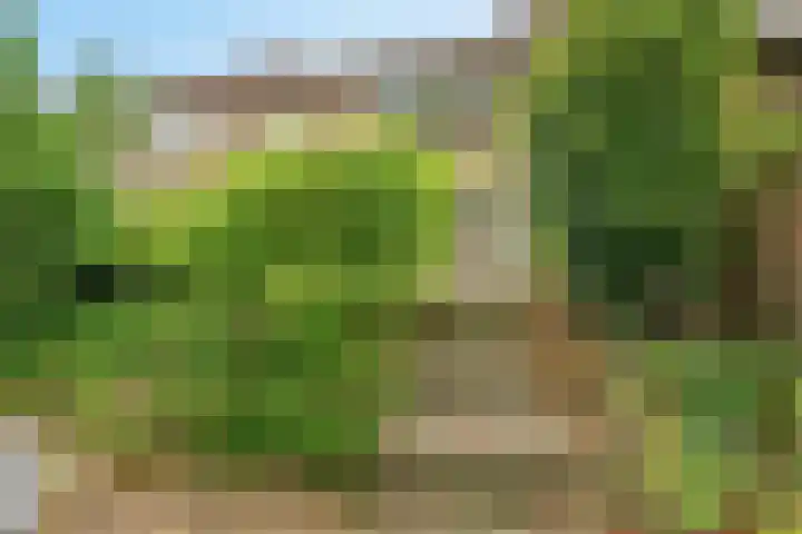 Teldersweg 25 Rhenen thumbnail 35
