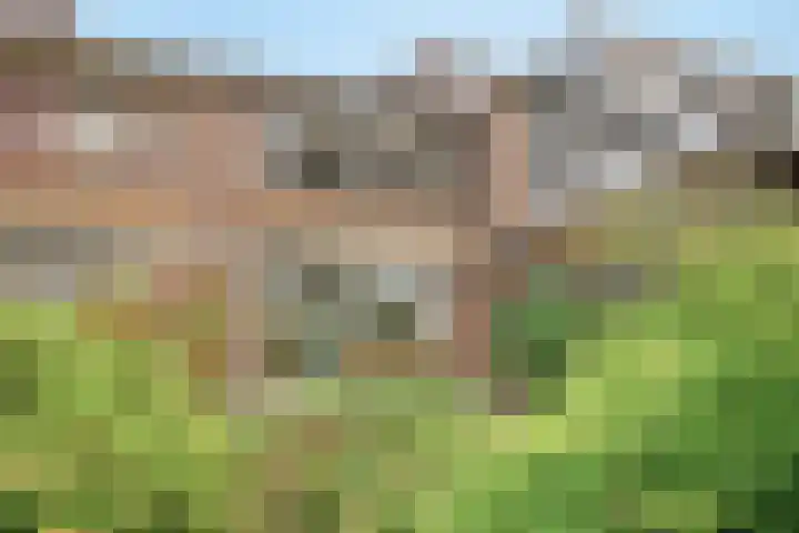 Teldersweg 25 Rhenen thumbnail 36