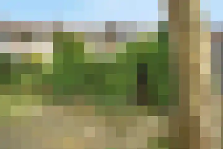 Teldersweg 25 Rhenen thumbnail 37