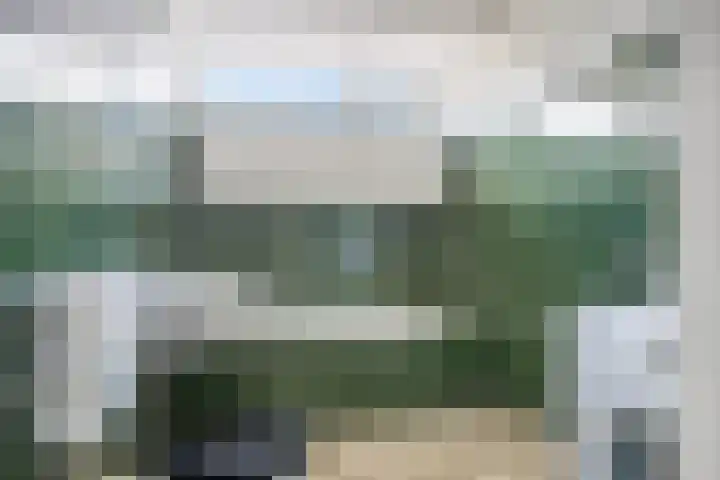 Teldersweg 25 Rhenen thumbnail 4